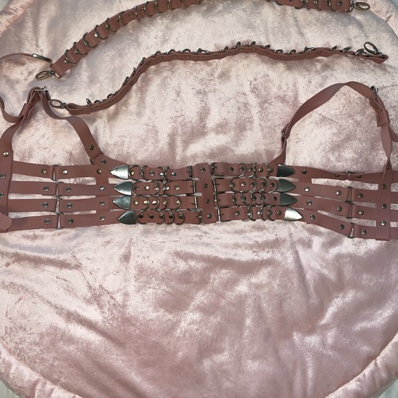 Pink strappy harness set - Picture 2 of 4